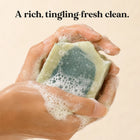 Reviving Tallow Shampoo Bar