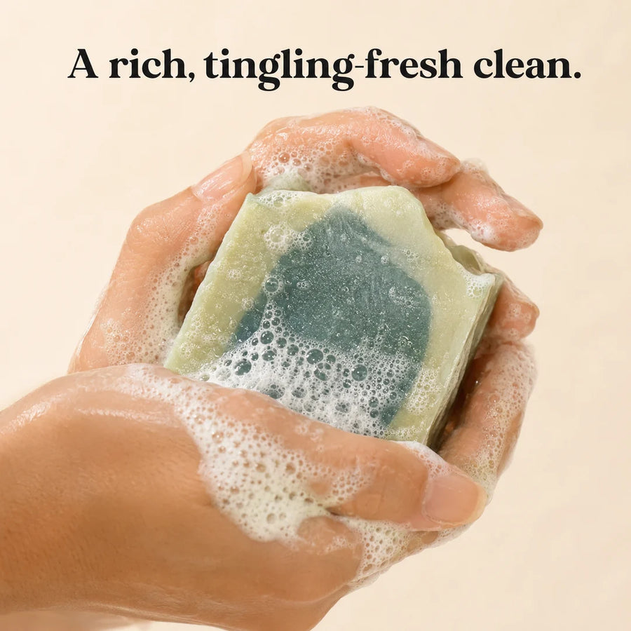 Reviving Tallow Shampoo Bar