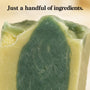 Reviving Tallow Shampoo Bar