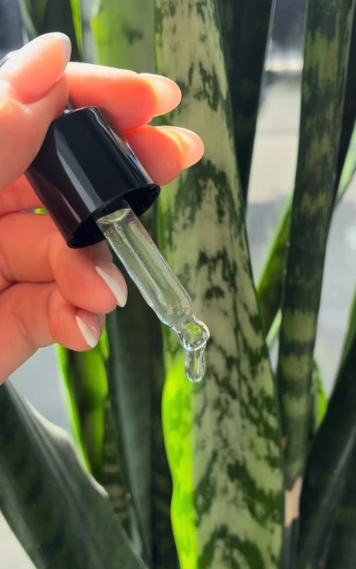 Nature's Wake-up Ritual — Reviana Eye Cream + Serum