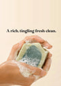 Reviving Tallow Shampoo Bar
