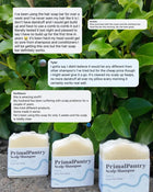 Reviving Tallow Shampoo Bar