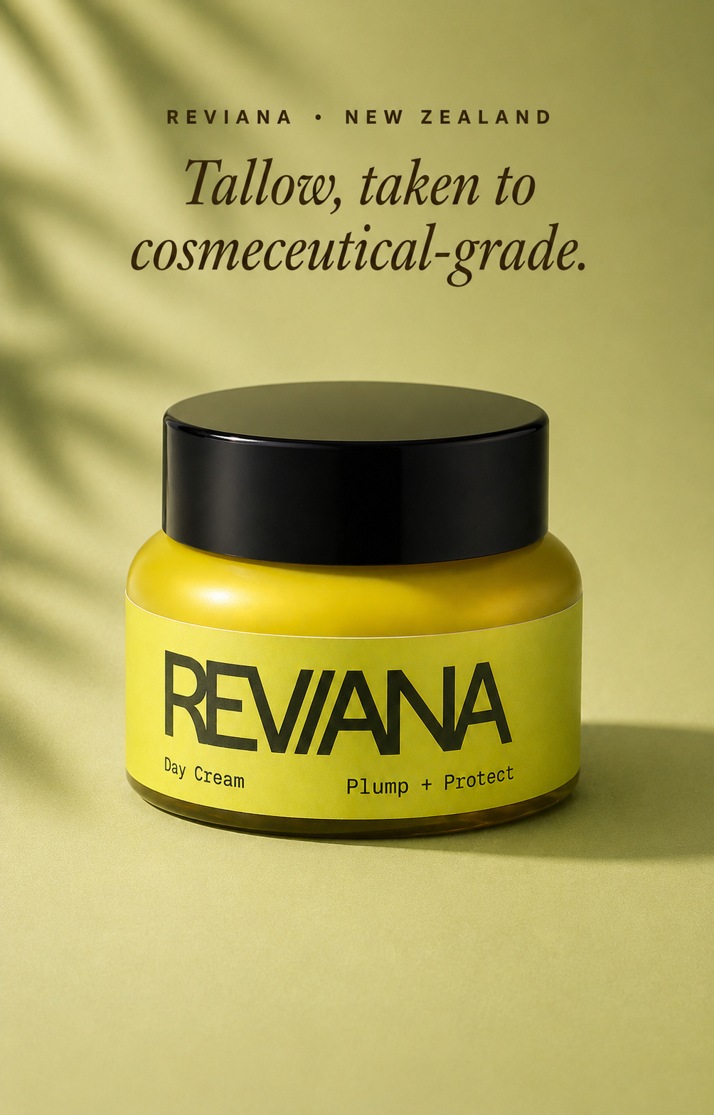 Reviana Tallow Day Cream β barrier building